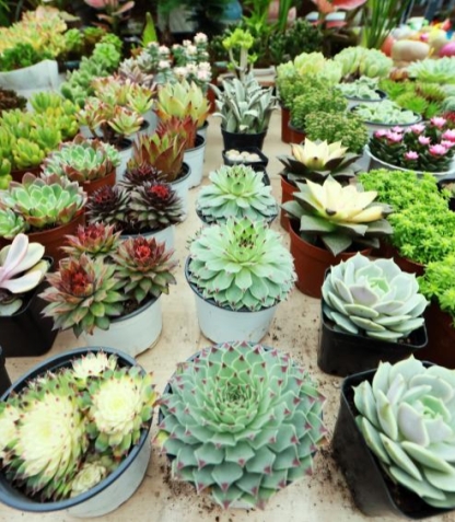 TFEP Cultural & Creative Tech Park: Revitalizing Yanta District’s Industrial Heritage