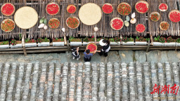 湖南侗寨"曬秋"引客來