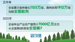 五年造林綠化1155萬畝