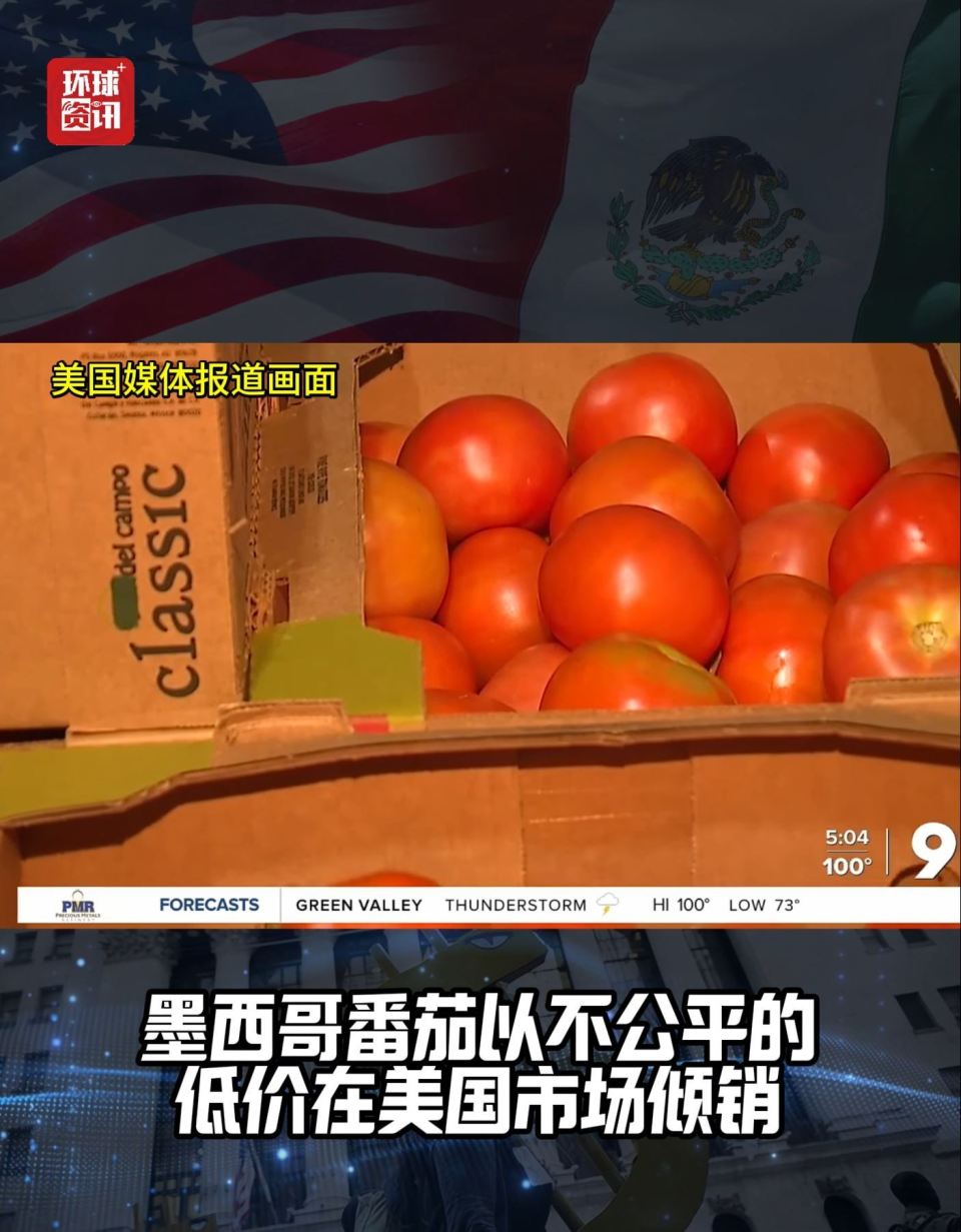 解構局丨關稅大棒打番茄！美國為啥下殺手？