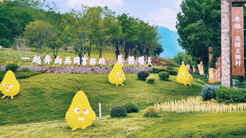 青年農創客激發鄉村發展活力