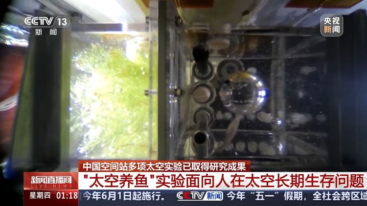 中國空間站多項太空實驗已取得成果 未來將陸續開展千余項研究