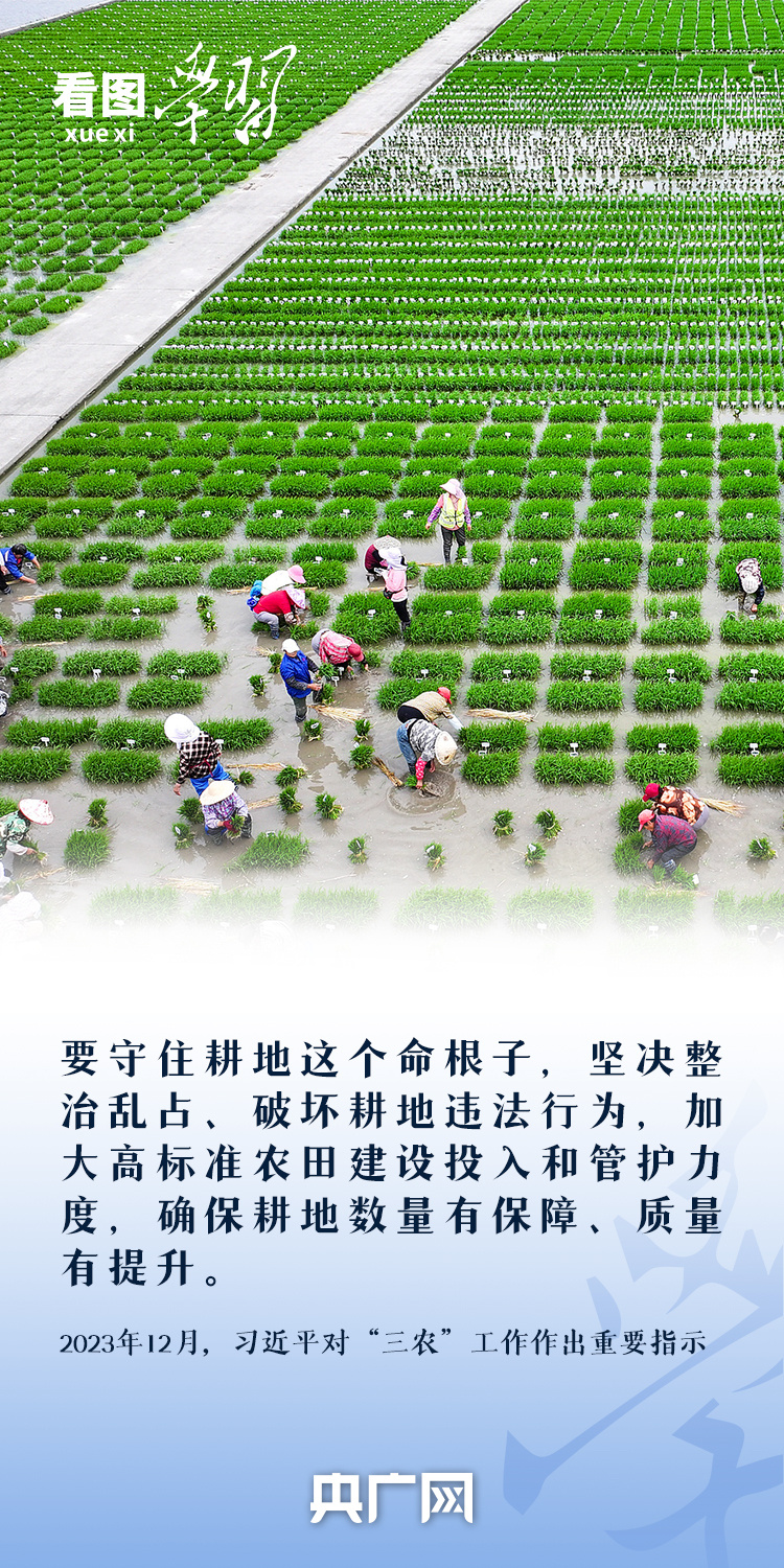 看圖學習丨“守住耕地這個命根子” 總書記心繫耕地保護