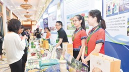 全國糧食和物資儲備科技活動周在長沙啟動