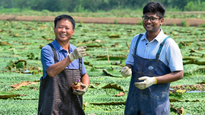 International Student Explores Green Secrets of "Agrophotovoltaics" in Euryale Ferox Fields
