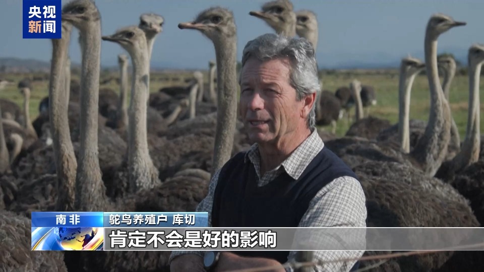 關稅重創美標誌性産業 “鴕鳥皮危機”威脅“美國製造”牛仔靴