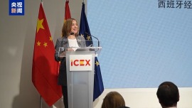 中國—西班牙貿易投資對接會在馬德里舉行