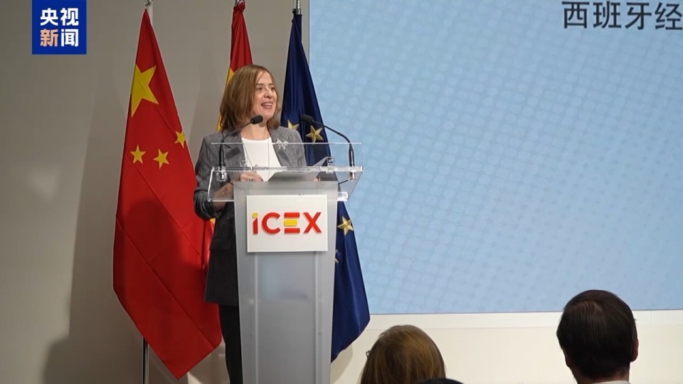 中國—西班牙貿易投資對接會在馬德里舉行
