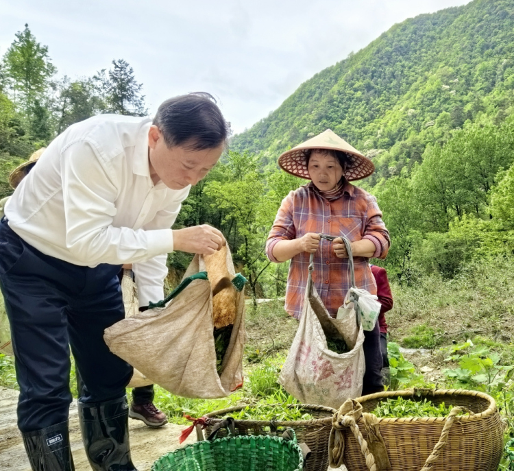 浙江民營企業如何重塑鄉村振興新生態？