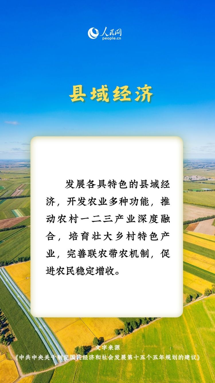 熱詞裏的“十五五”丨這些“三農”關鍵詞，透露增收新路徑_fororder_8