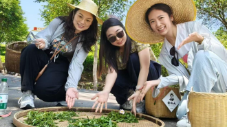 黃山市徽州區：徽韻融古今 文旅綻芳華