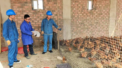 Electricity Fuels the Dreams of Diverse Agriculture