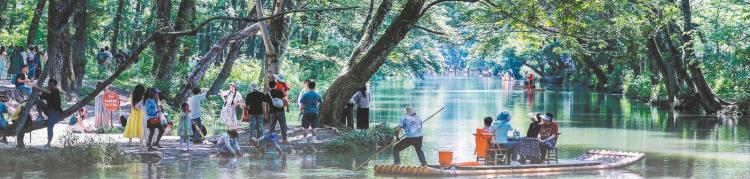 從黃山入境遊，看文旅“中國熱度”_fororder_從黃山入境遊，看文旅“中國熱度”