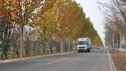 天津2025年農村公路民心工程全面收官 鋪就鄉村振興“快車道”