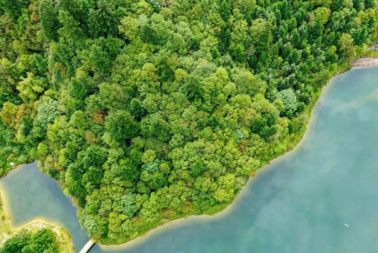 隴南宕昌：以“水”為筆繪就幸福河湖生態畫卷_fororder_微信圖片_20250606132025