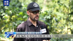 視頻丨委內瑞拉咖啡行業復蘇面臨多重挑戰