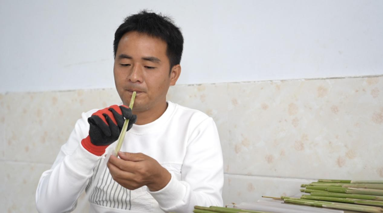 蚌埠市五河縣新集鎮：特色笛膜産業興 奏響鄉村“振興曲”_fororder_笛圖片1