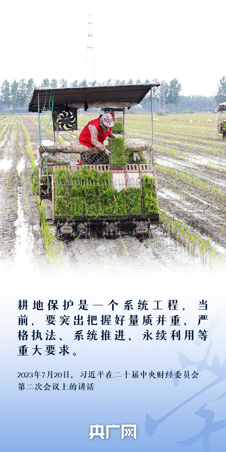 看圖學習丨“守住耕地這個命根子” 總書記心繫耕地保護