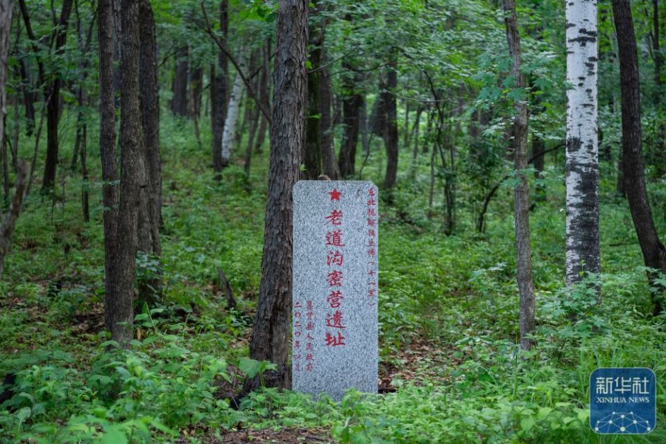 新華全媒＋丨“一座七星山 半部抗聯史”——探訪七星砬子抗聯密營遺址