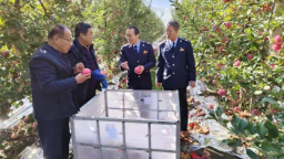 慶陽：稅惠“甘露”潤瓜果 助農增收“甜”心間