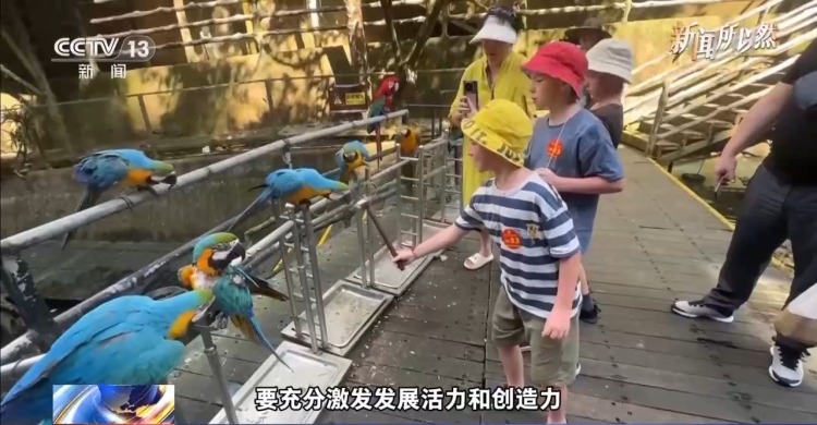 視頻丨這五個方面 帶你讀懂海南自貿港全島封關