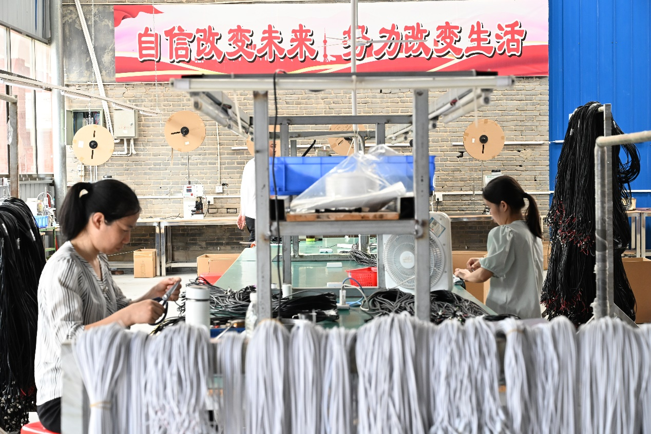 全國助殘日特別報道丨走出家門 擁抱新生_fororder_圖片1