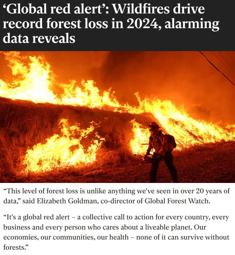 全球“紅色警報” 每分鐘失去18個足球場大小的熱帶雨林