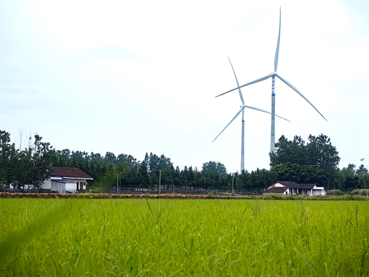 風車舞洞庭 “綠”自風中來——湖南首個規模化平原混塔風電項目投産_fororder_3