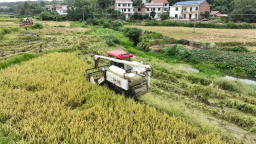 湖南衡山縣推廣低茬收割技術 讓秸稈變廢為寶