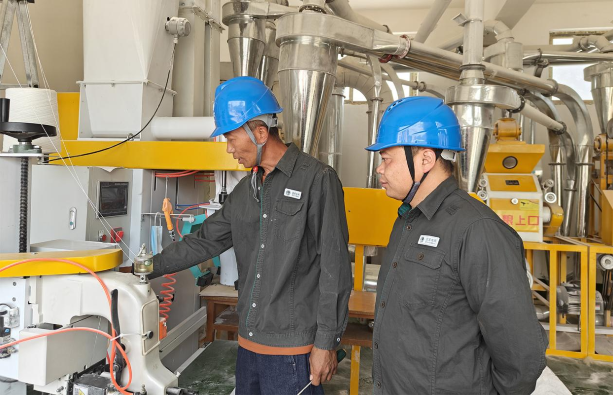 Jiaozuo, Henan: Power Supply Enhances Local Specialty Industries_fororder_圖片7