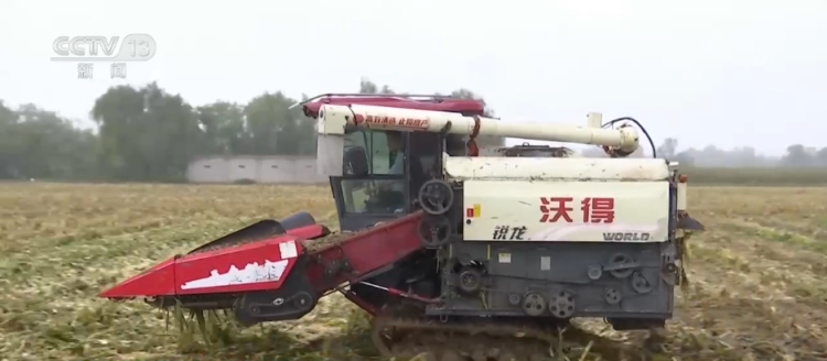 “幹”字當頭！各地多舉措保“三秋”生産 全力守護群眾“糧袋子”