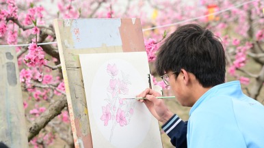 圖片默認標題