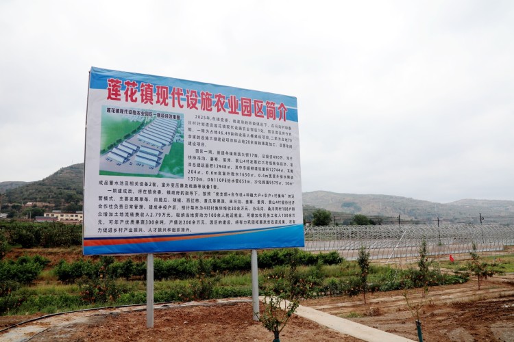 天水秦安縣蓮花鎮：17座冬暖棚加速建設 激活鄉村振興新動能_fororder_2