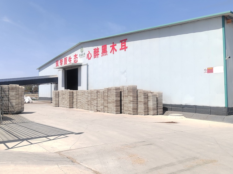 “稅”動循環農業新引擎——慶陽市西峰區創新服務助推“三元雙向”綠色發展