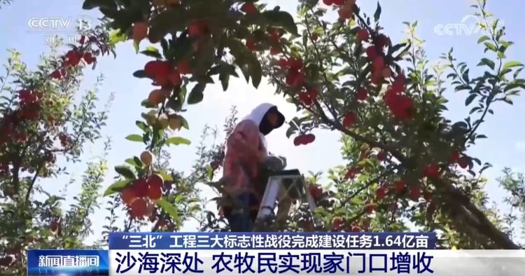 “三北”工程三大標誌性戰役成效如何？一組數據帶你了解_fororder_4