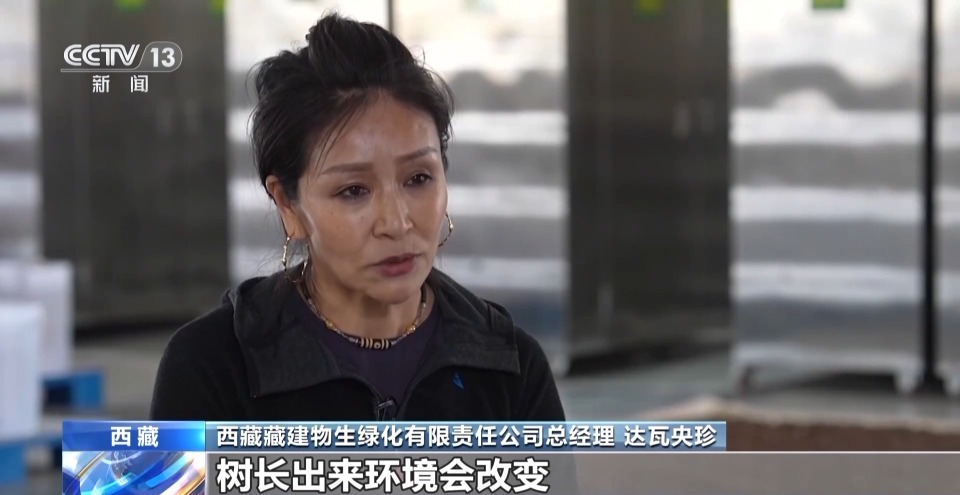 4年栽植苗木1.2億多株 看拉薩高原如何披“綠裝”