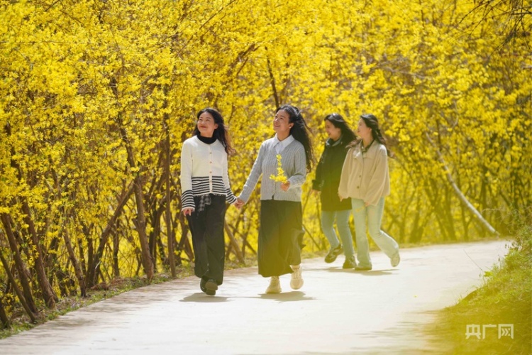 甘肅成縣：全域文旅繪新篇 “流量”沉澱為“留量”