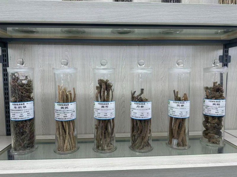 손사막 고향에서 현대 중의약의 도시까지: 퉁촨서 이어지는 천년 의약의 맥_fororder_圖片 4