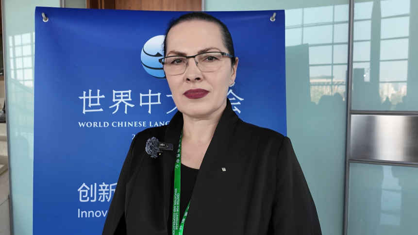 多國教育界代表：“中文熱”為世界架起溝通與繁榮的橋梁