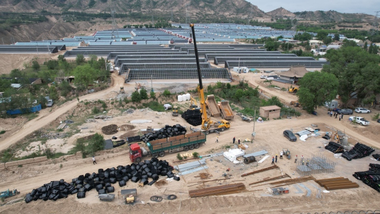 臨夏永靖：東西部協作架起“致富橋” 永靖縣蔬菜産業基地煥新升級再加速_fororder_13