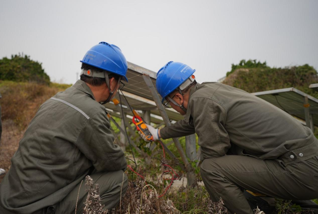 Wenzhou, Zhejiang: “Green Power Ark” Welcomes the Return of the “Mythical Bird”_fororder_圖片2