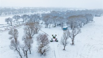 呼和浩特：春雪繪仙境