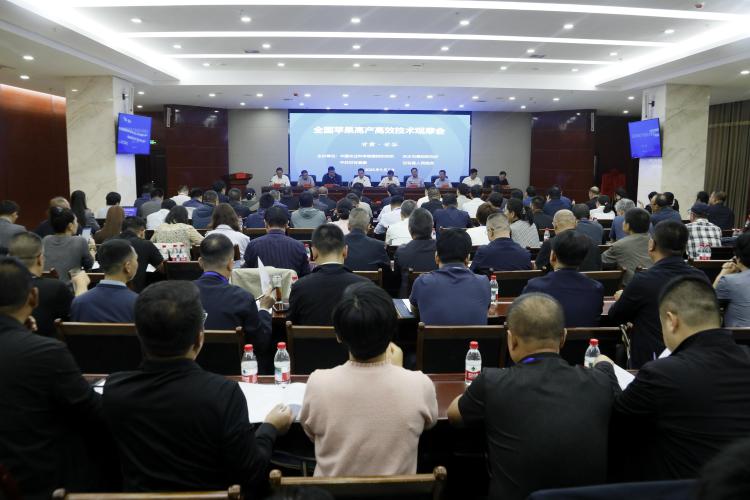 全國蘋果高産高效技術觀摩會在甘谷舉行_fororder_1