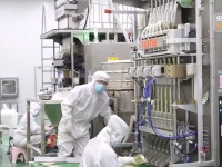 砥礪奮進七十載 天山南北譜華章丨從沙漠之舟到産業之舟 新疆駱駝産業用上智慧化生産線