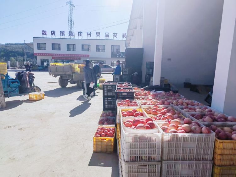 天水秦安魏店鎮：強村公司激活産業新動能_fororder_(3)4