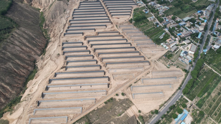 臨夏永靖：東西部協作架起“致富橋” 永靖縣蔬菜産業基地煥新升級再加速_fororder_12