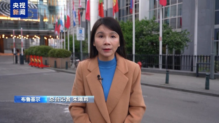 歐盟政策專家：美國在霸淩歐盟 歐美裂痕進一步加大