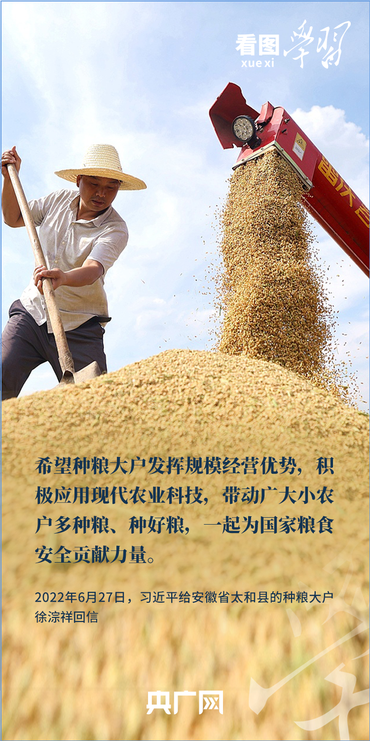 看圖學習丨“三夏”時節豐收忙 總書記強調糧食生産年年要抓緊