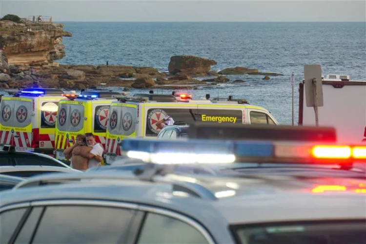 澳總理召開國家安全委員會緊急會議 應對邦迪灘槍擊案