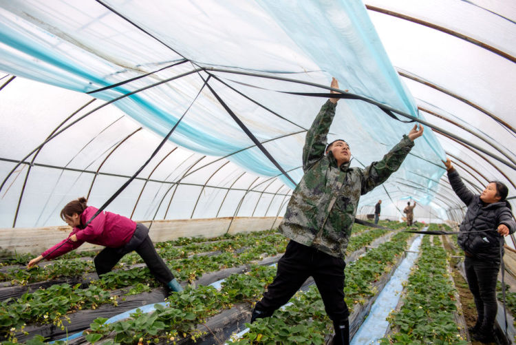 鏡觀·迴響丨弘揚奉獻、友愛、互助、進步的志願精神
